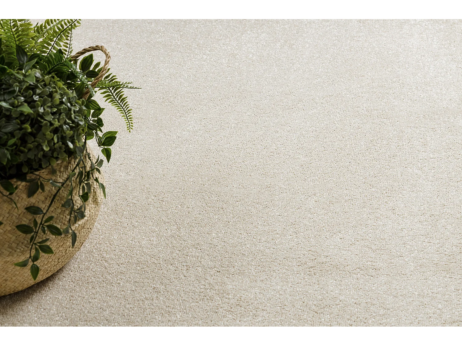 TAPIS - MOQUETTE EXCELLENCE crème 305 plaine MÉLANGE 150x400 cm