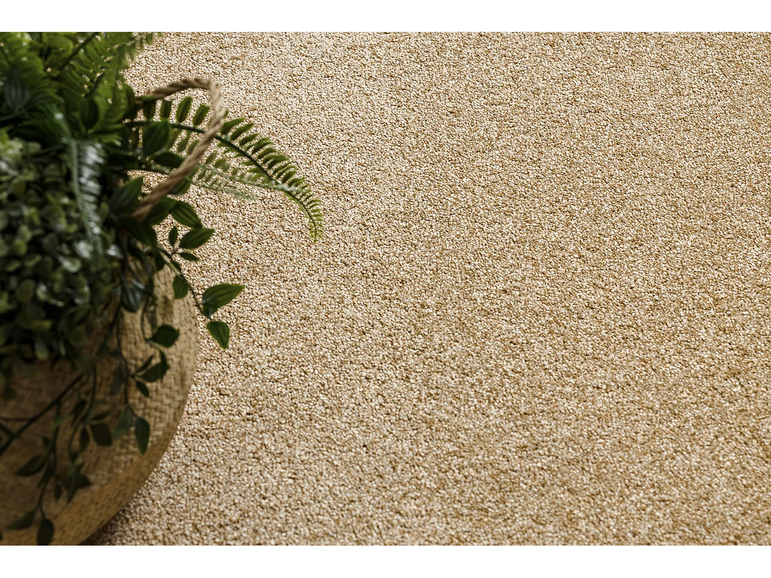 Teppich Teppichboden EXCELLENCE gold 511 eben, Melange 150x300 cm