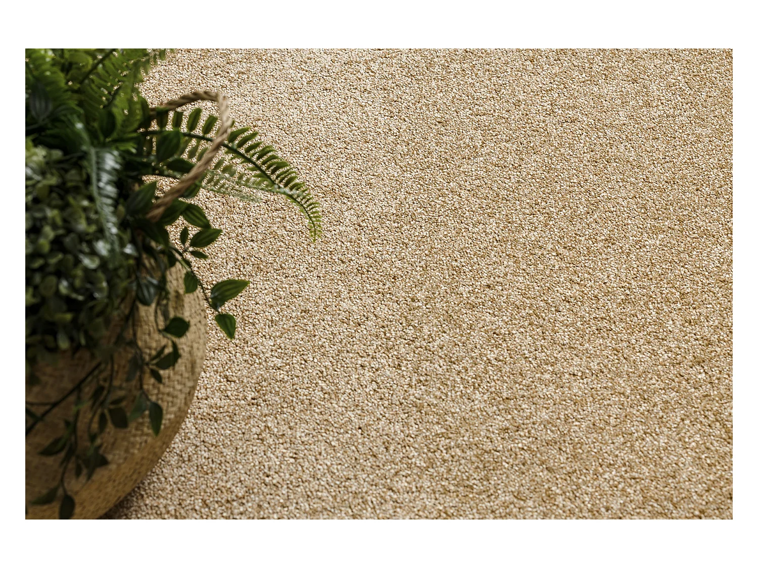 TAPIJT - Vloerbekleding EXCELLENCE goud 511, glad, melange 100x300 cm