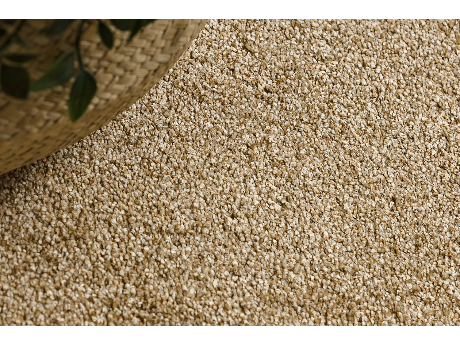 TAPIJT - Vloerbekleding EXCELLENCE goud 511, glad, melange 100x300 cm