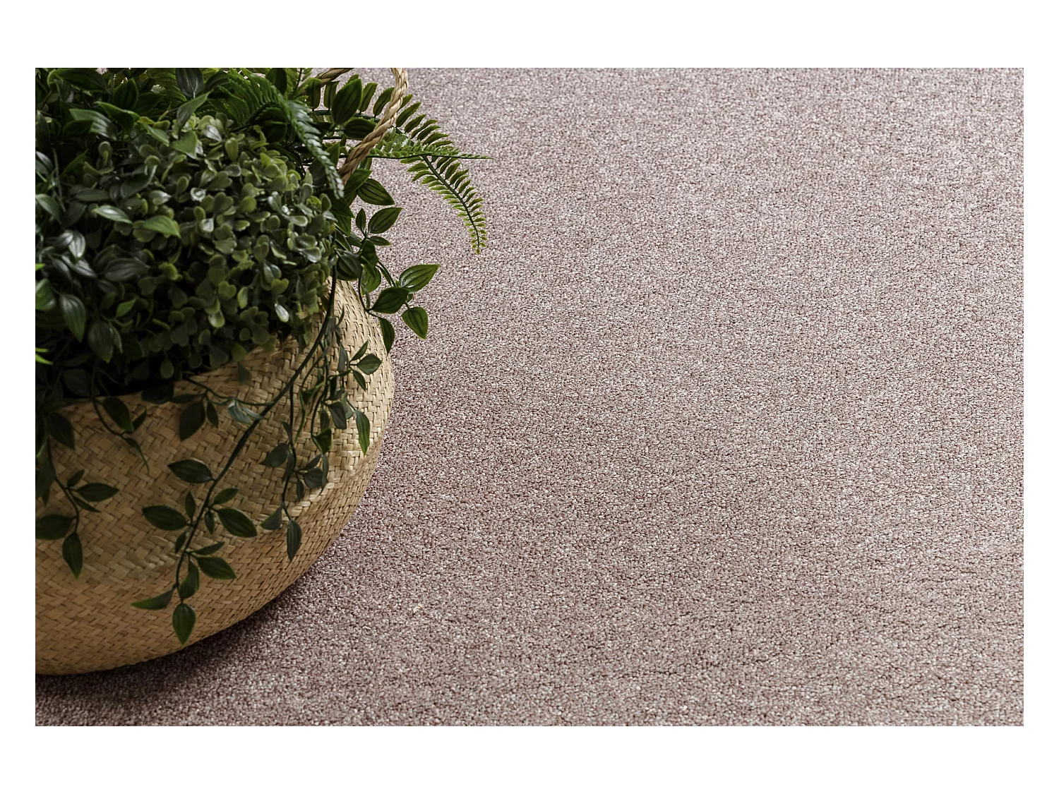 TAPIJT - Vloerbekleding EXCELLENCE vuil rozekleuring 407, glad, melang 100x250 cm