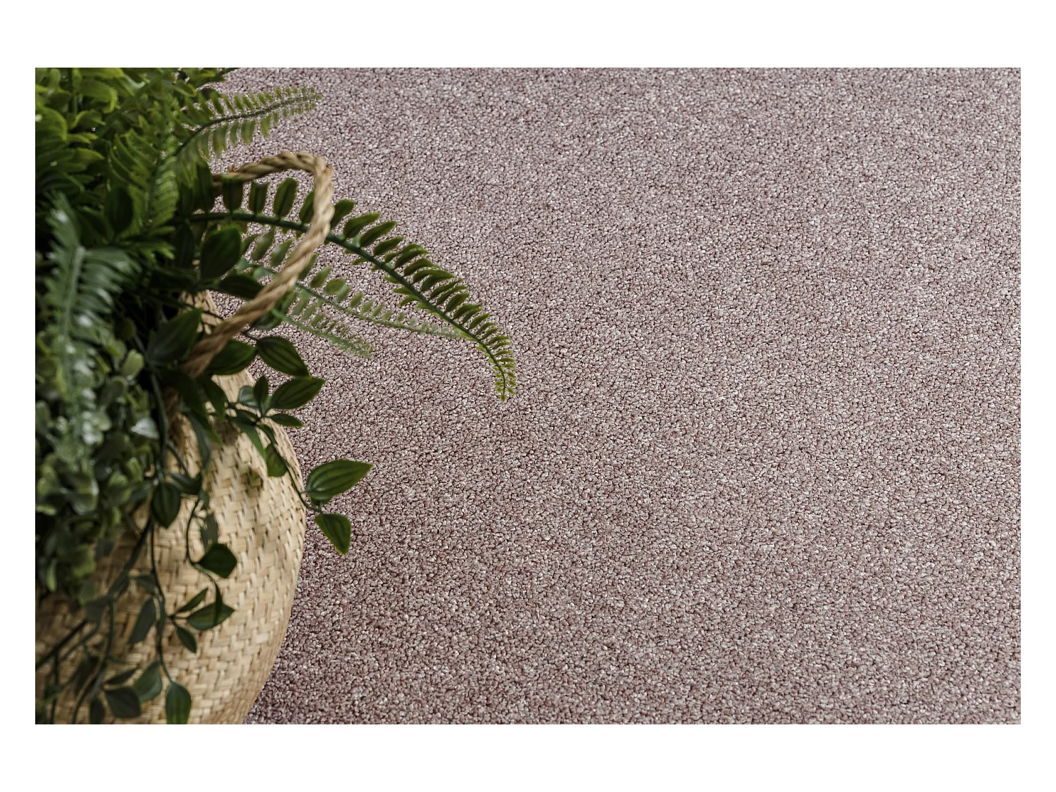 TAPIJT - Vloerbekleding EXCELLENCE vuil rozekleuring 407, glad, melang 100x250 cm