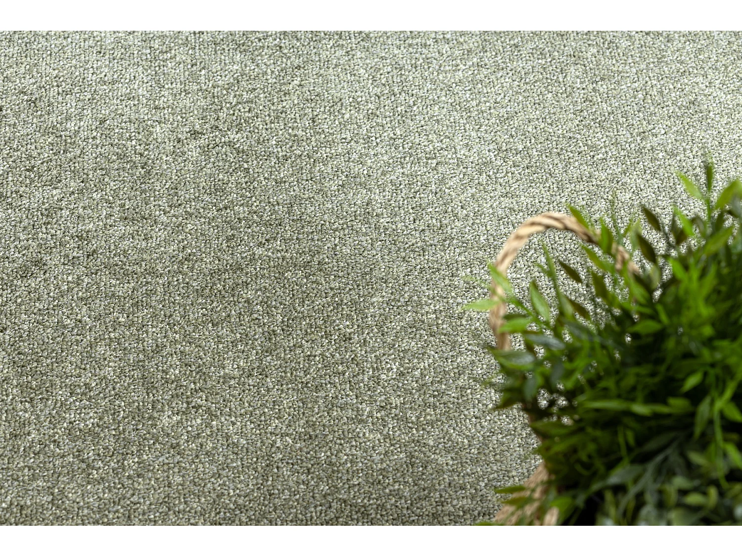 TAPIS - MOQUETTE EXCELLENCE olive verte 240 plaine MÉLANGE 100x150 cm