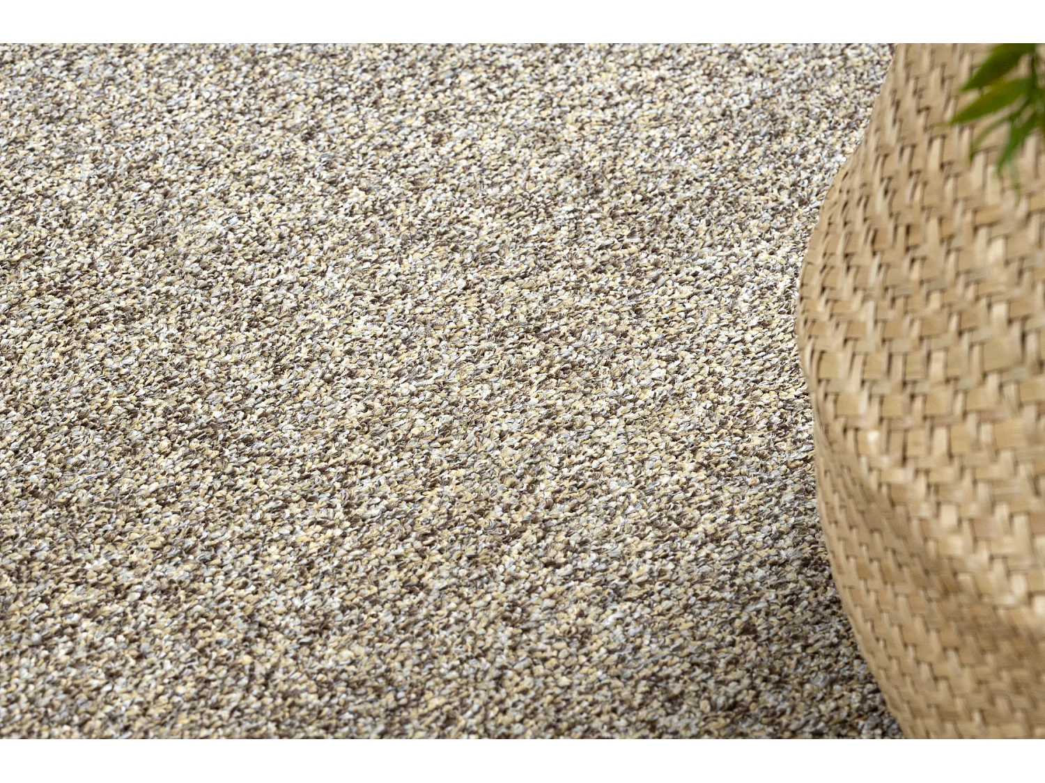 TAPIS - MOQUETTE EXCELLENCE  marron clair 222 plaine MÉLANGE 250x300 cm