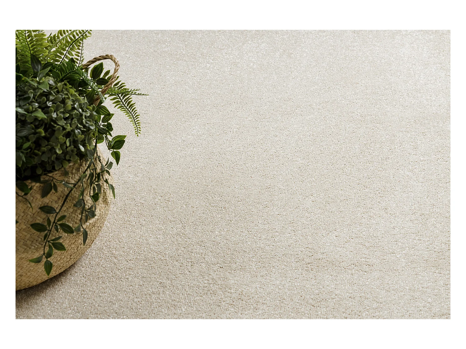 TAPIS - MOQUETTE EXCELLENCE crème 305 plaine MÉLANGE 100x150 cm