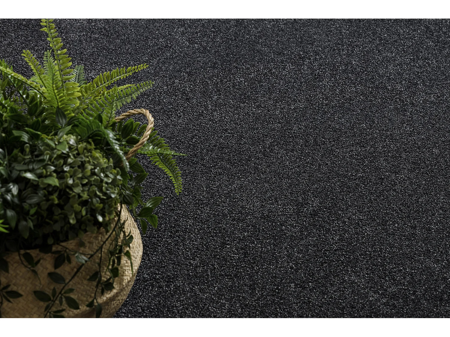 Teppich Teppichboden EXCELLENCE schwarz 141 eben, Melange 200x250 cm