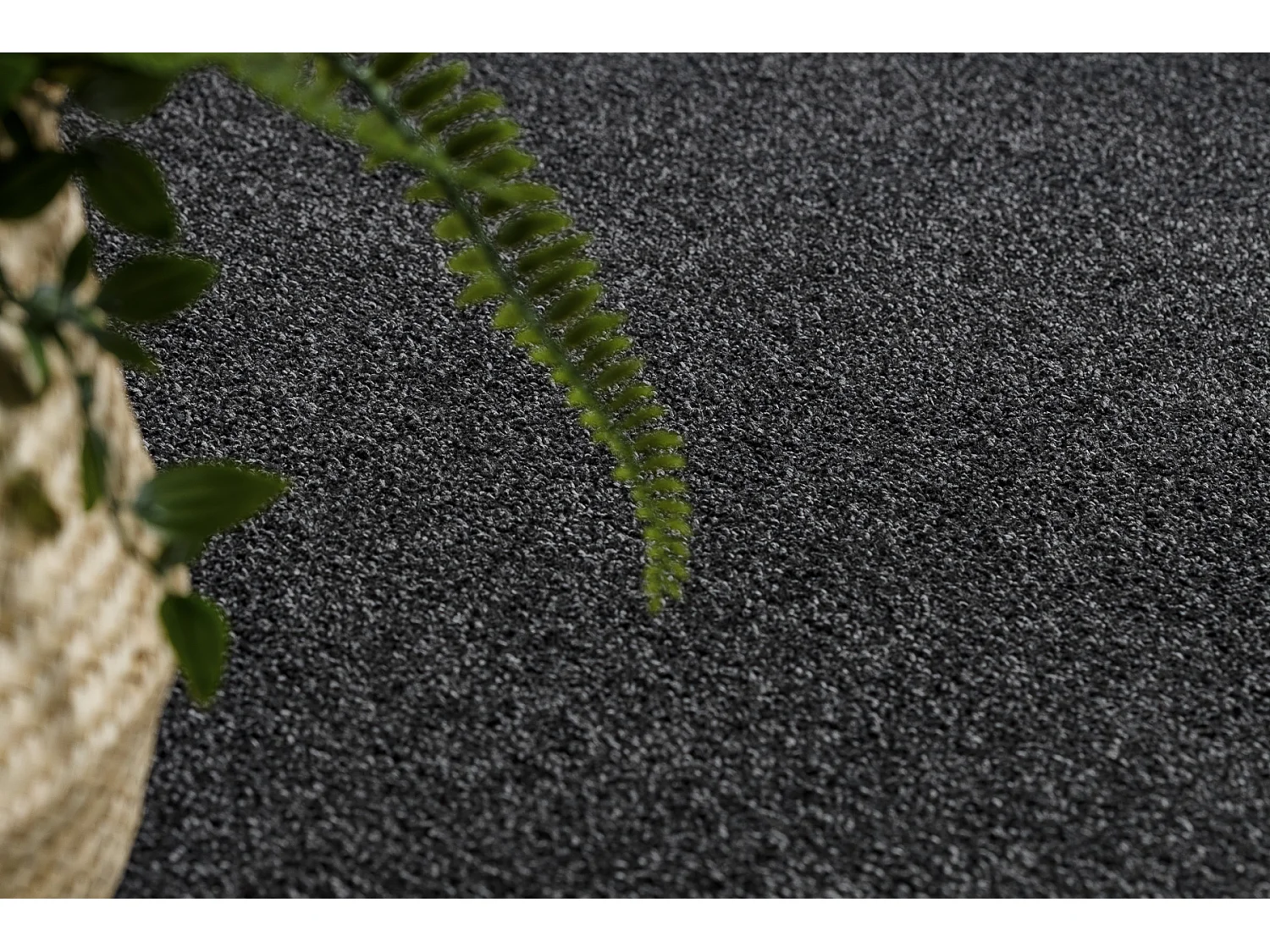 Teppich Teppichboden EXCELLENCE schwarz 141 eben, Melange 200x250 cm