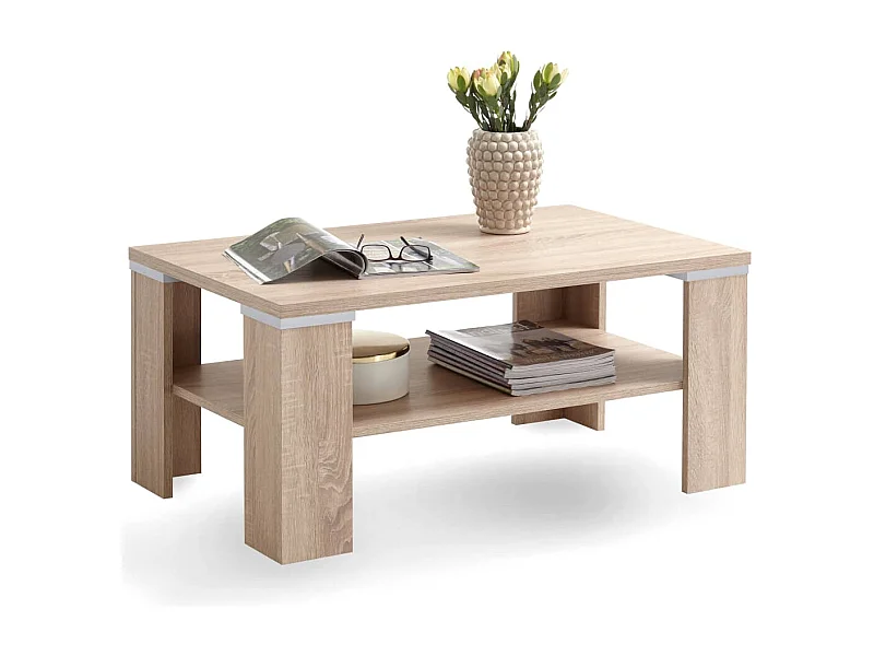 Table basse avec étagère 100 x 60 x 46 cm Chêne