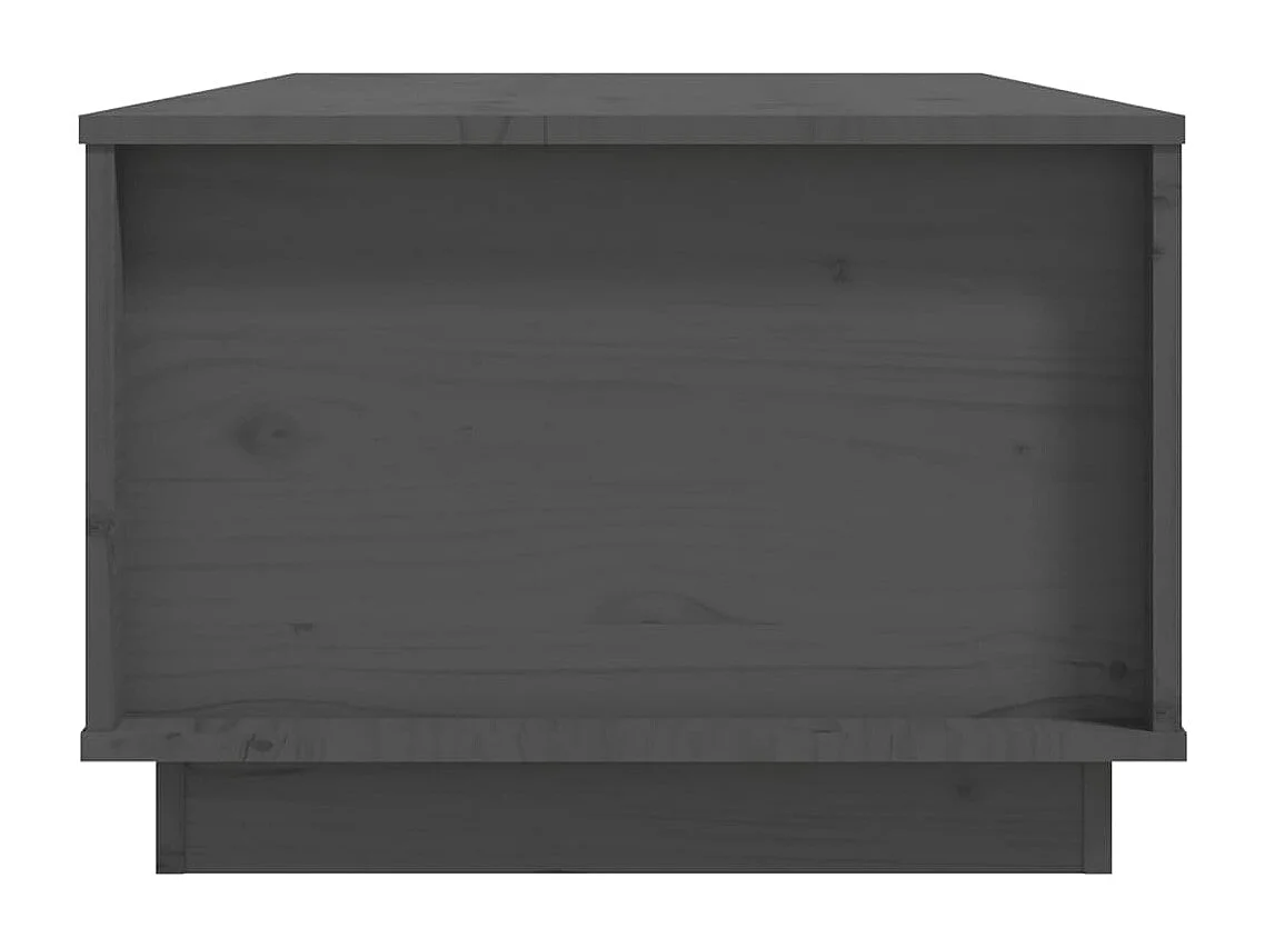 Table basse Gris 100x50x35 cm Bois massif de pin