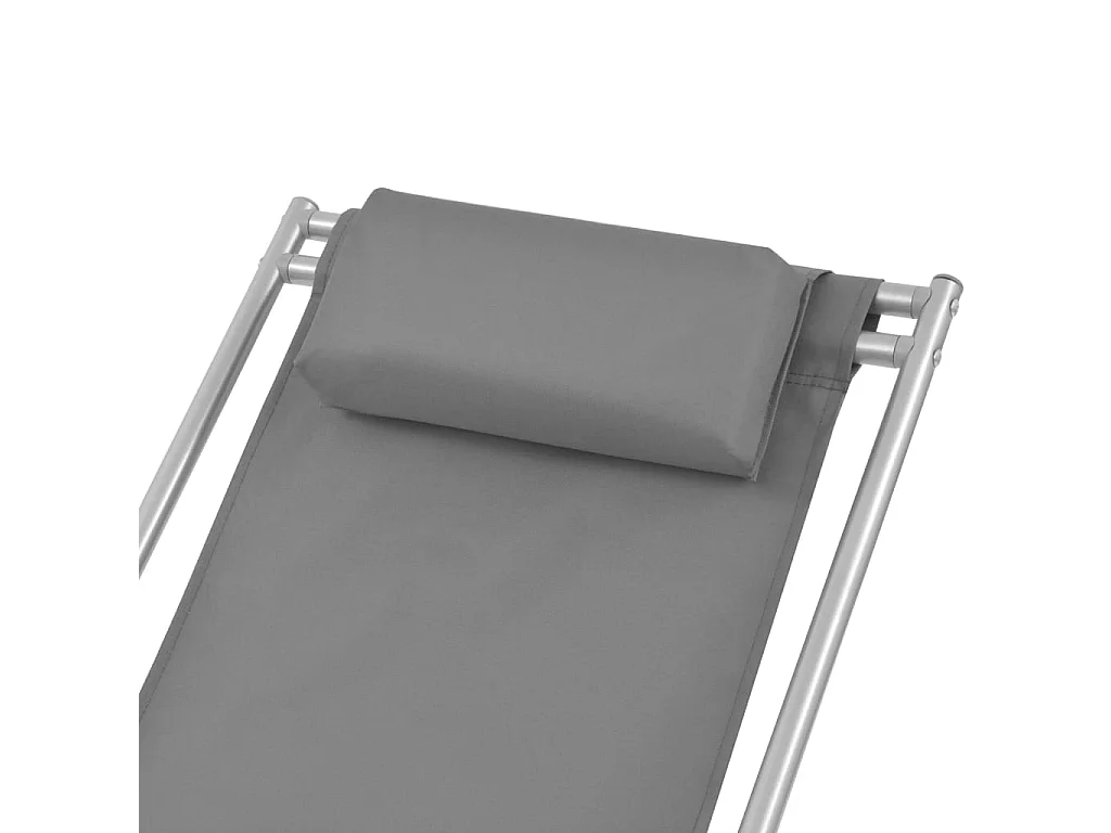 Chaises inclinables de terrasse lot de 2 Acier Gris