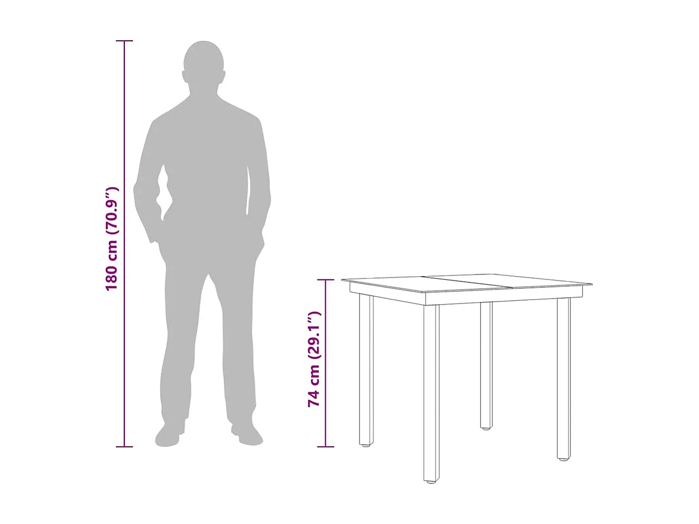 Table à dîner de jardin Noir 80x80x74 cm Acier et verre