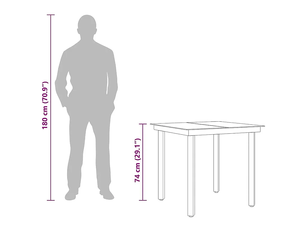 Table à dîner de jardin Noir 80x80x74 cm Acier et verre