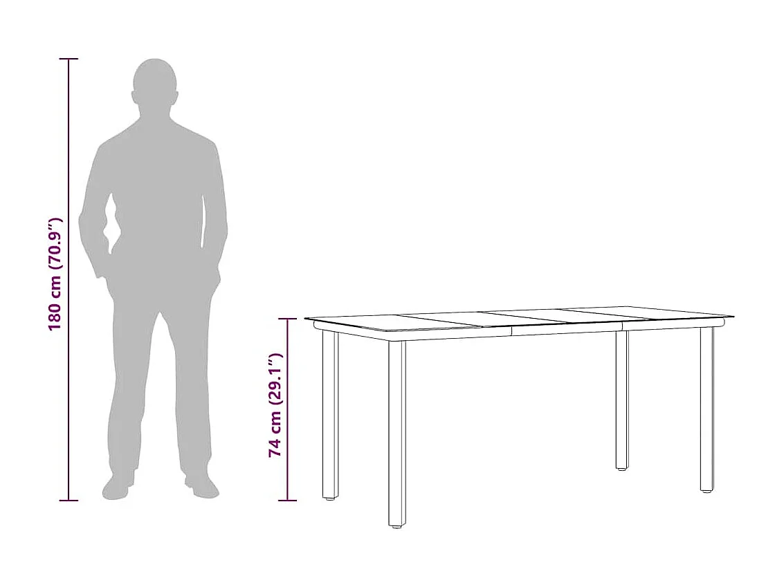 Table à dîner de jardin Noir 160x80x74 cm Acier et verre trempé