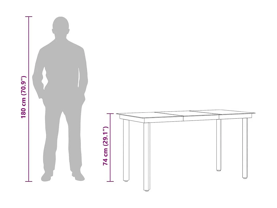 Table à dîner de jardin Noir 140x70x74 cm Acier et verre