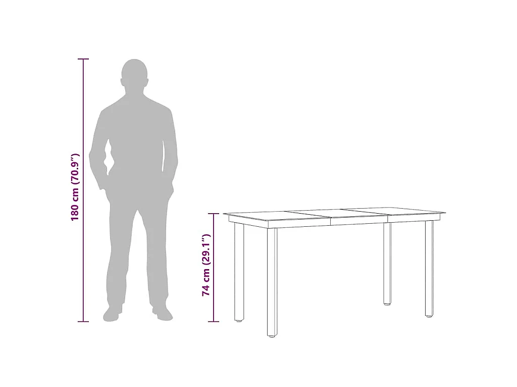 Table à dîner de jardin Noir 140x70x74 cm Acier et verre