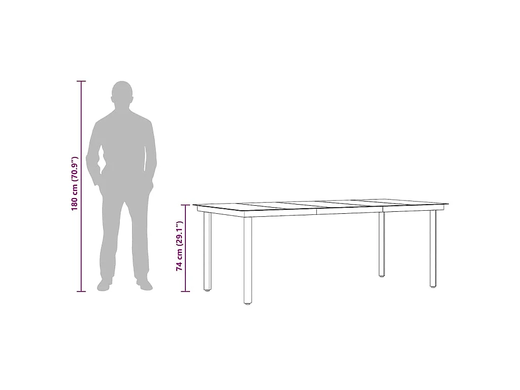 Mesa de jantar para jardim 200x100x74 cm aço e vidro preto
