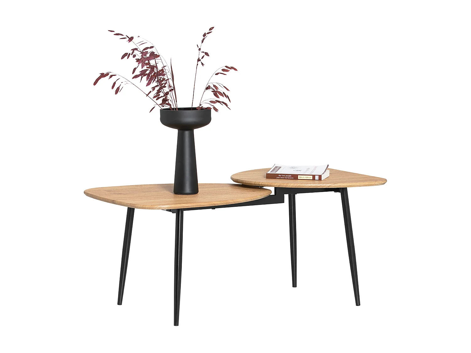 SoBuy Table Basse Table de Salon, Meuble de Salon Design, Structure en métal avec 2 plateaux, 100 x 54 x 45 cm, FBT127-N