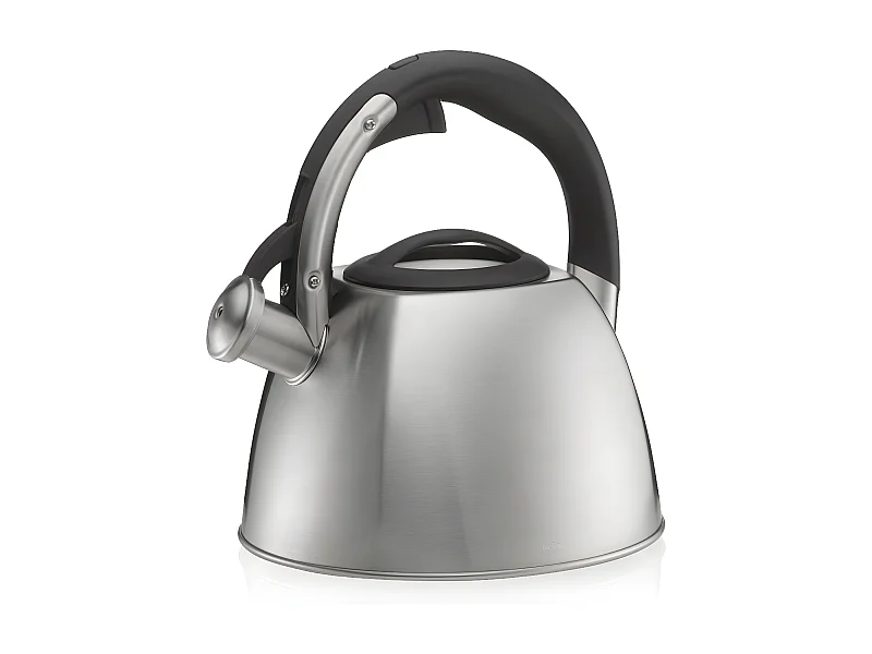 Bouilloire Vitus inox 2,4L