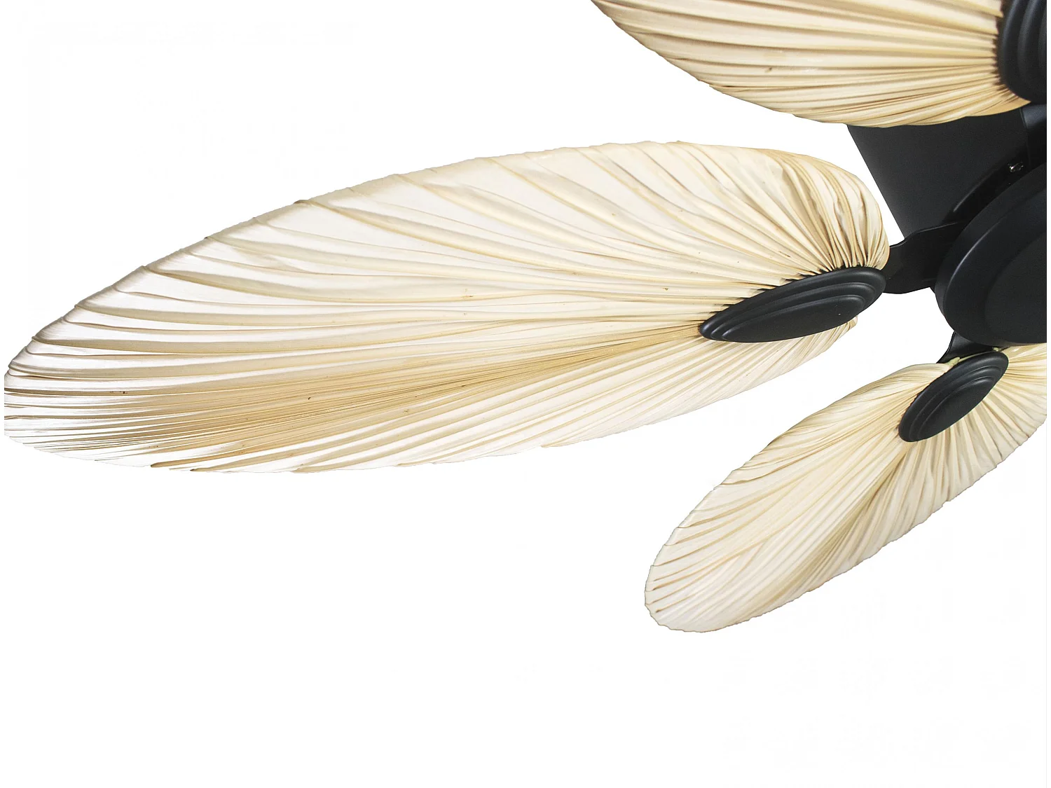 Ventilador de tecto AC preto com lâminas 132cm para 30m2