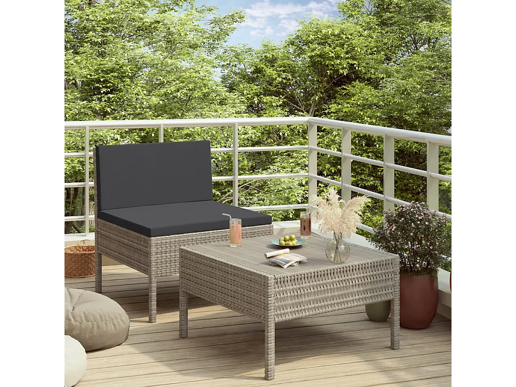 Salon de jardin 2 pcs avec coussins Résine tressée Gris BE20998