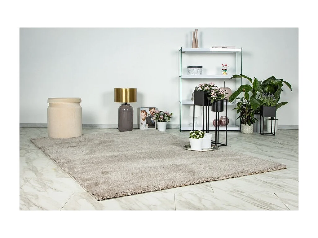Tapijt 290x200cm, design D005M kleur beige - Comfort en elegantie voor uw interieur