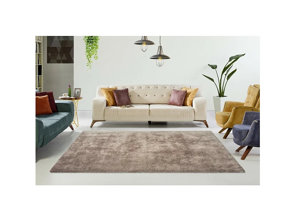 Teppich 170x120 cm – Design C005D Farbe Taupe – Eleganz und Komfort für Ihr Interieur