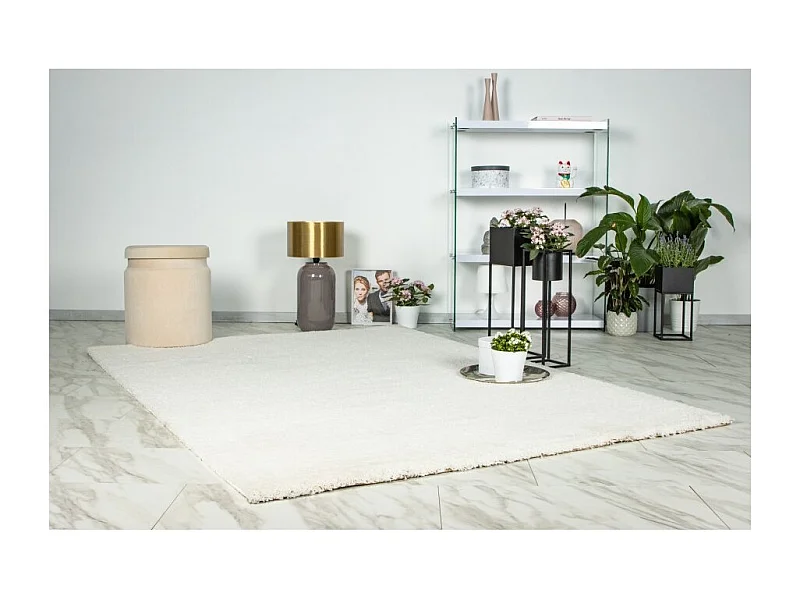 Teppich 170x120cm, Design D005M in Elfenbeinfarbe - Komfort und Eleganz für Ihr Interieur