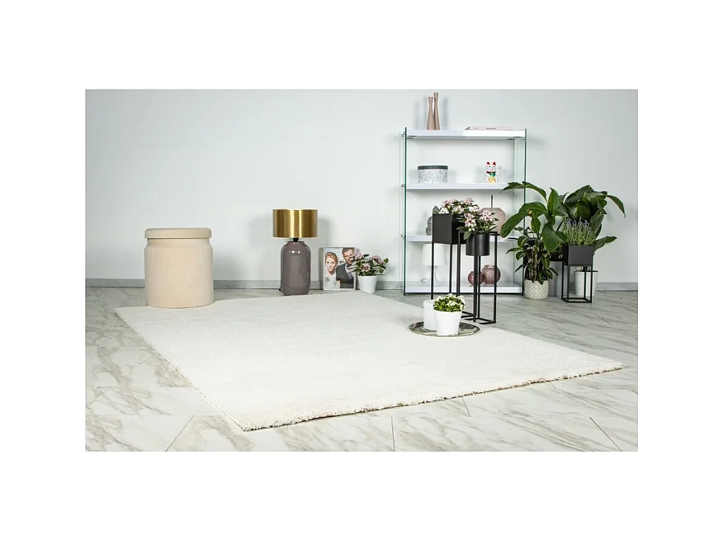 Tapis 170x120cm, design D005M coloris ivoire - Confort et élégance pour votre intérieur