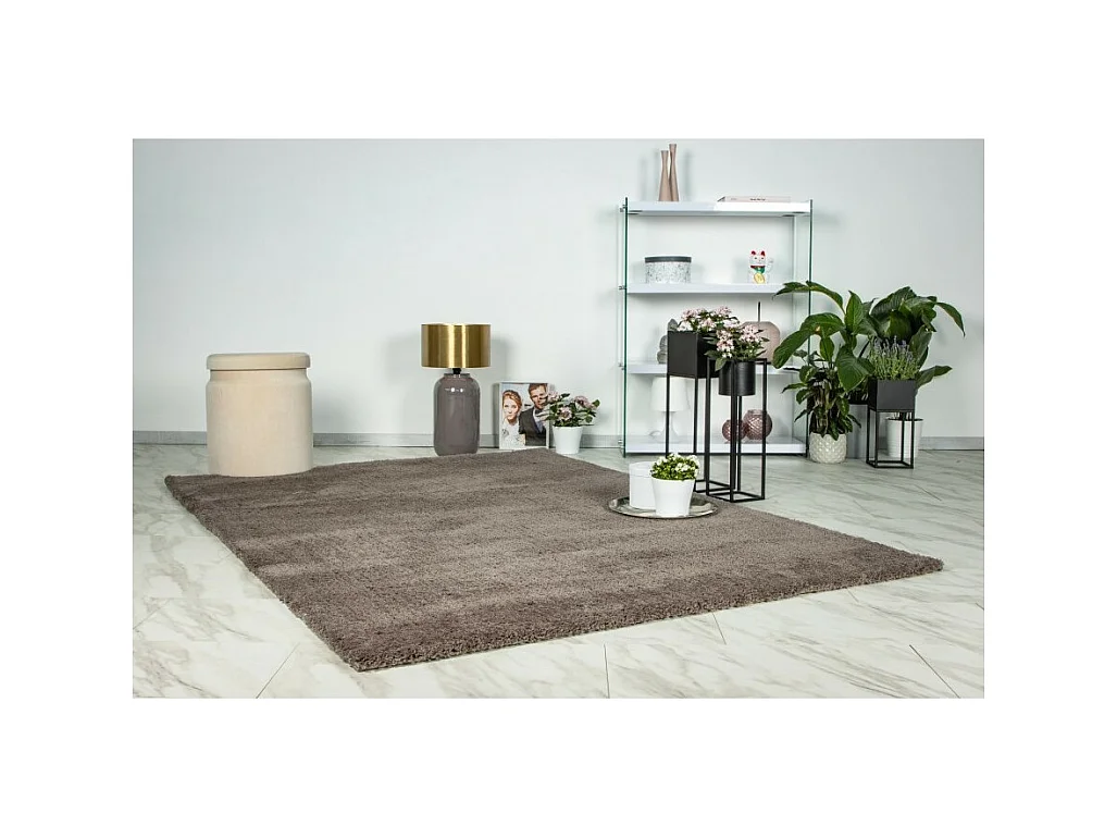Teppich 150x80cm, Design D005M Farbe Taupe - Komfort und Eleganz für Ihr Interieur