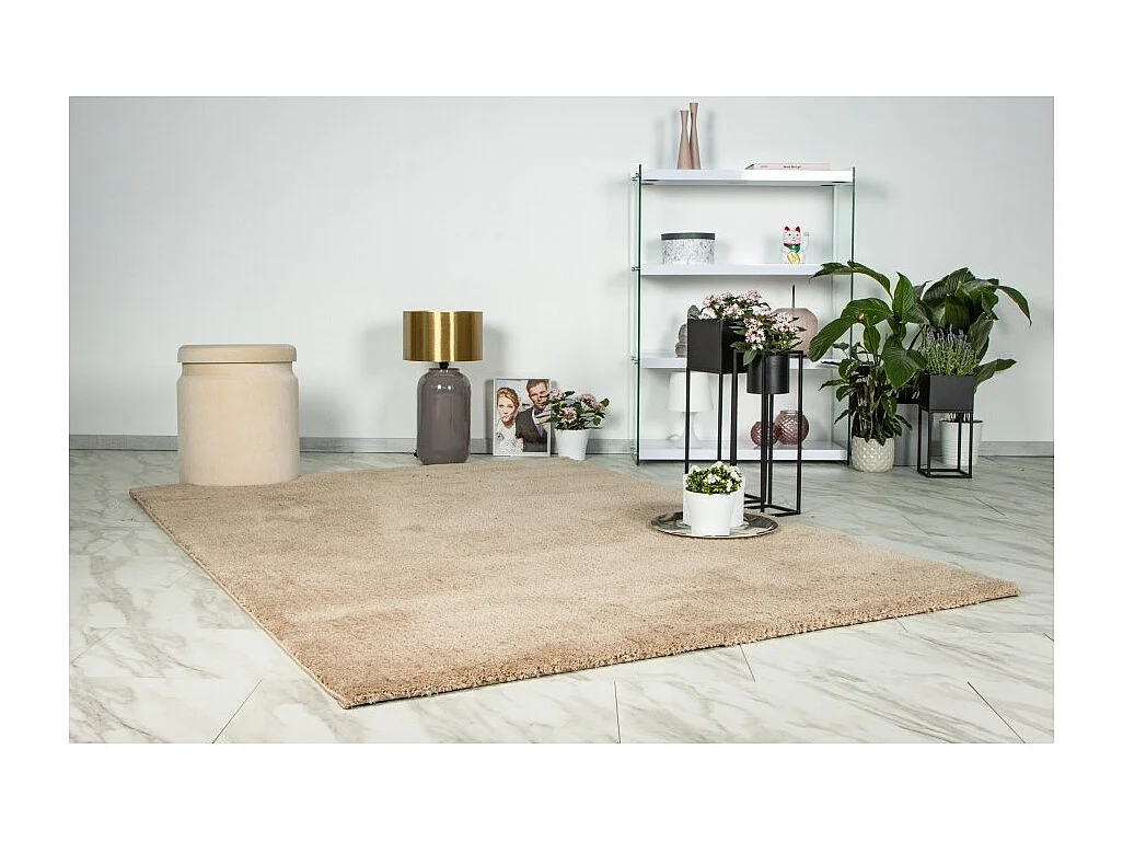 Teppich 290x200cm, Design D005M Farbe Champagner - Komfort und Eleganz für Ihr Interieur