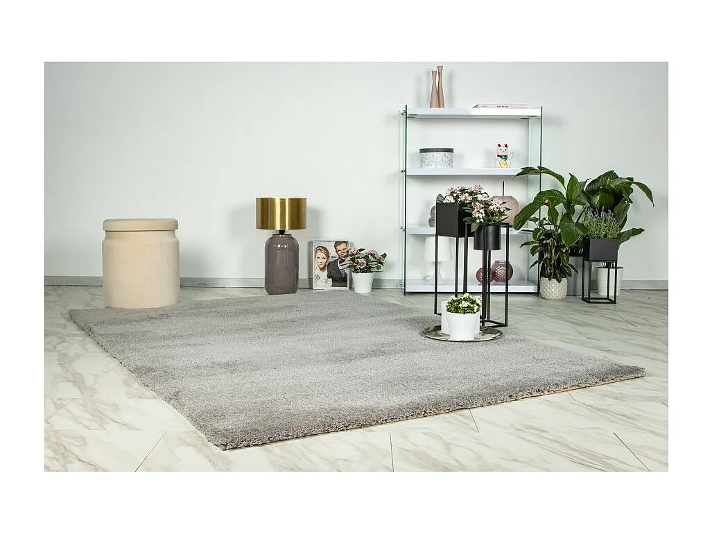 Alfombra 170x120cm, diseño D005M color plata - Confort y elegancia para su interior.