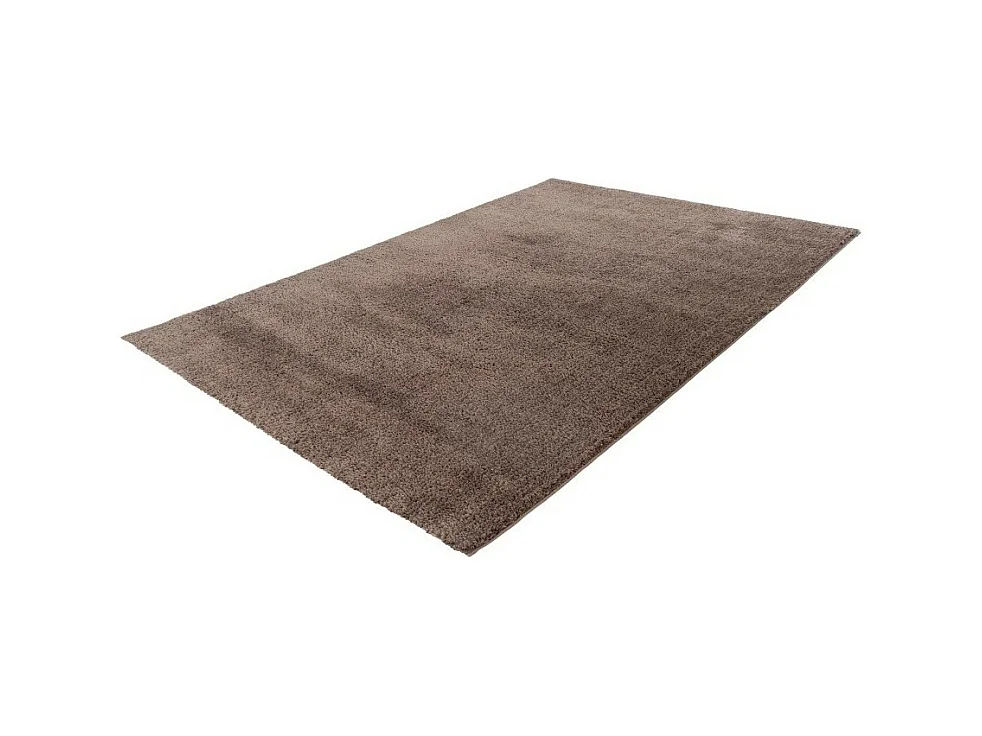 Tapis 290x200cm, design D005M coloris taupe - Confort et élégance pour votre intérieur