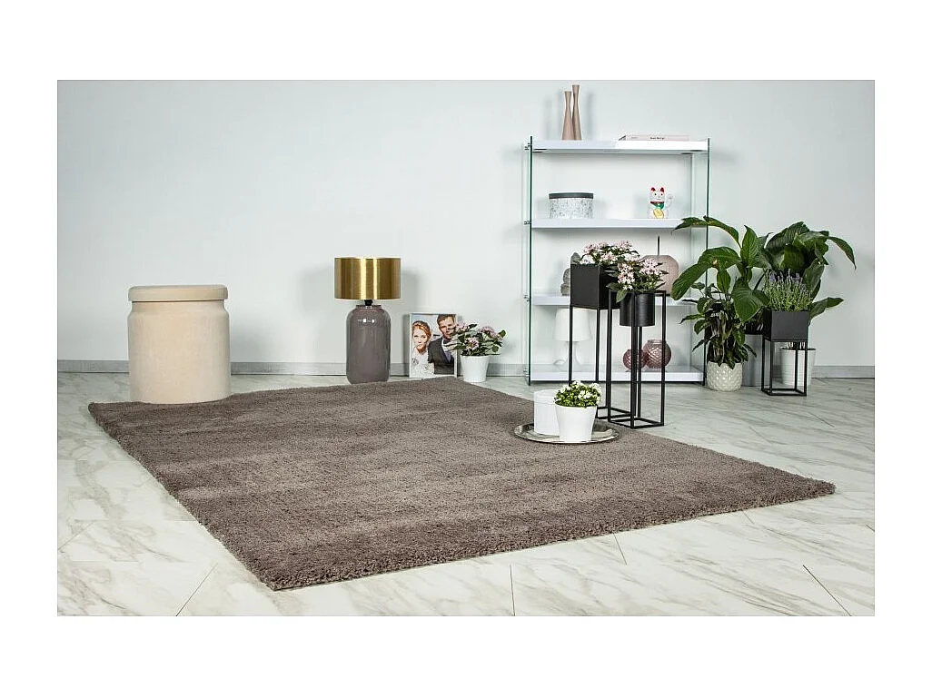 Tapis 290x200cm, design D005M coloris taupe - Confort et élégance pour votre intérieur
