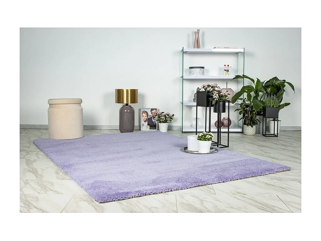 Tapis 290x200cm, design D005M coloris lavande - Confort et élégance pour votre intérieur