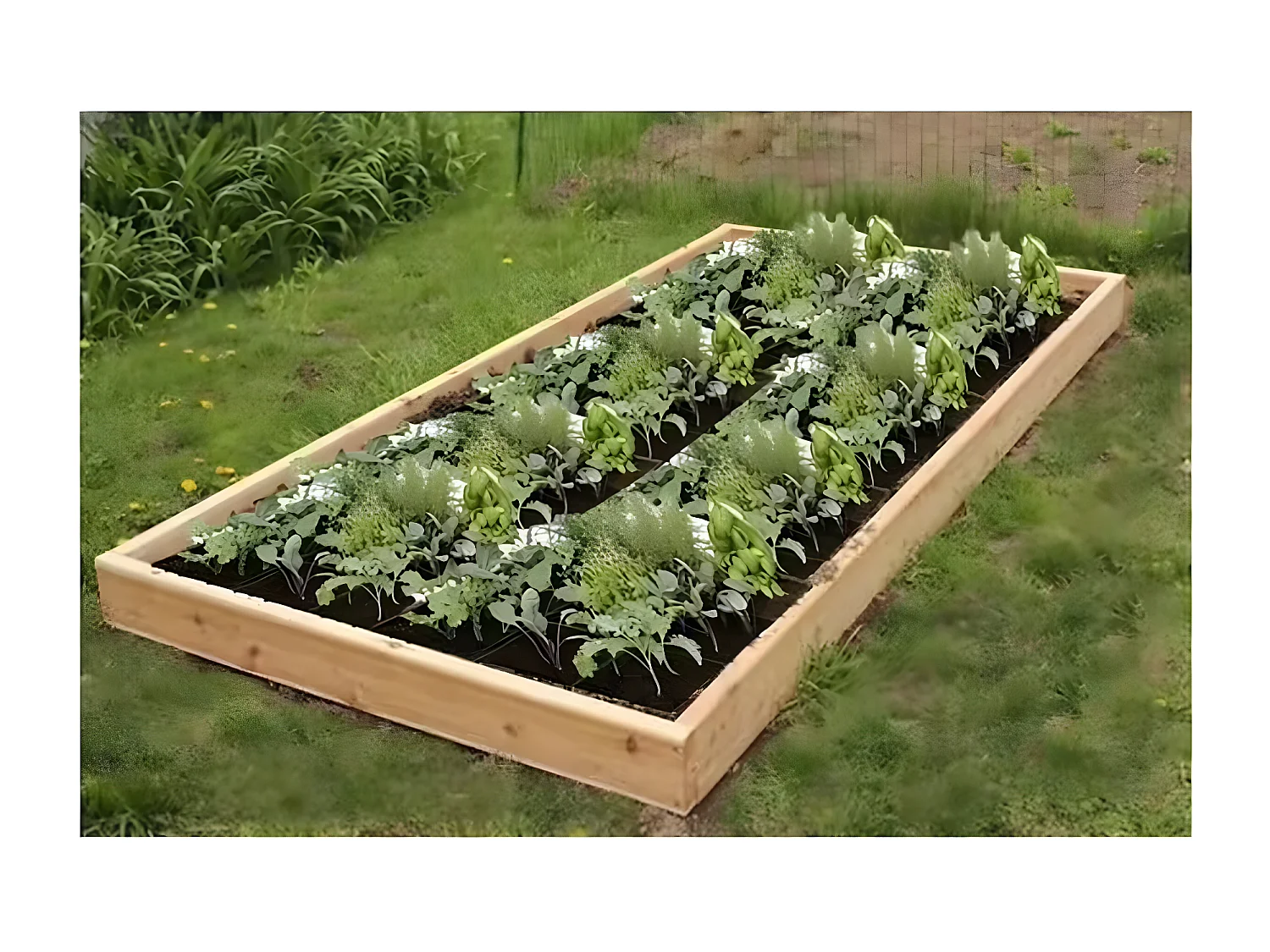 Huerto de madera "Botaga" - 240 x 120 cm