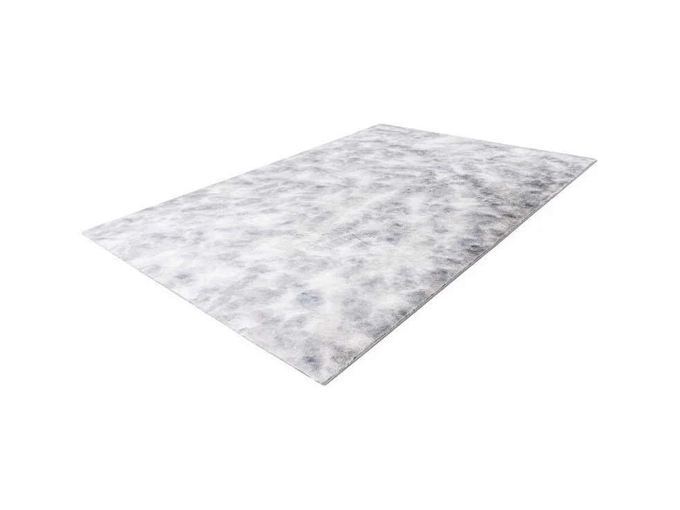 Tapis 230x160cm, design B005O coloris gris - Confort et élégance pour votre intérieur