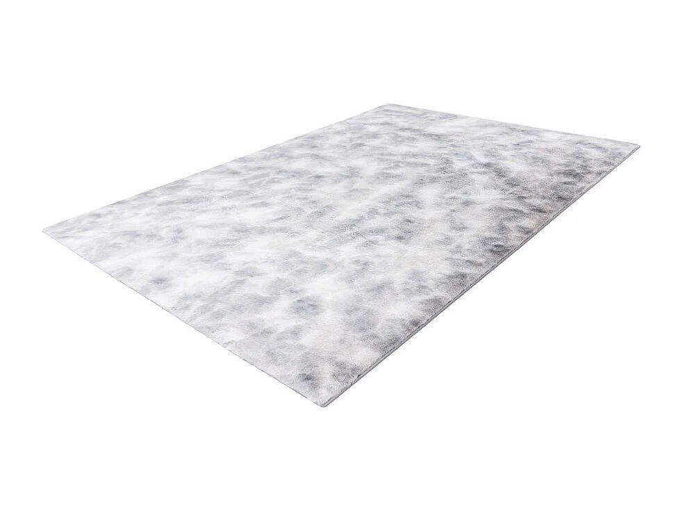 Tapis 230x160cm, design B005O coloris gris - Confort et élégance pour votre intérieur