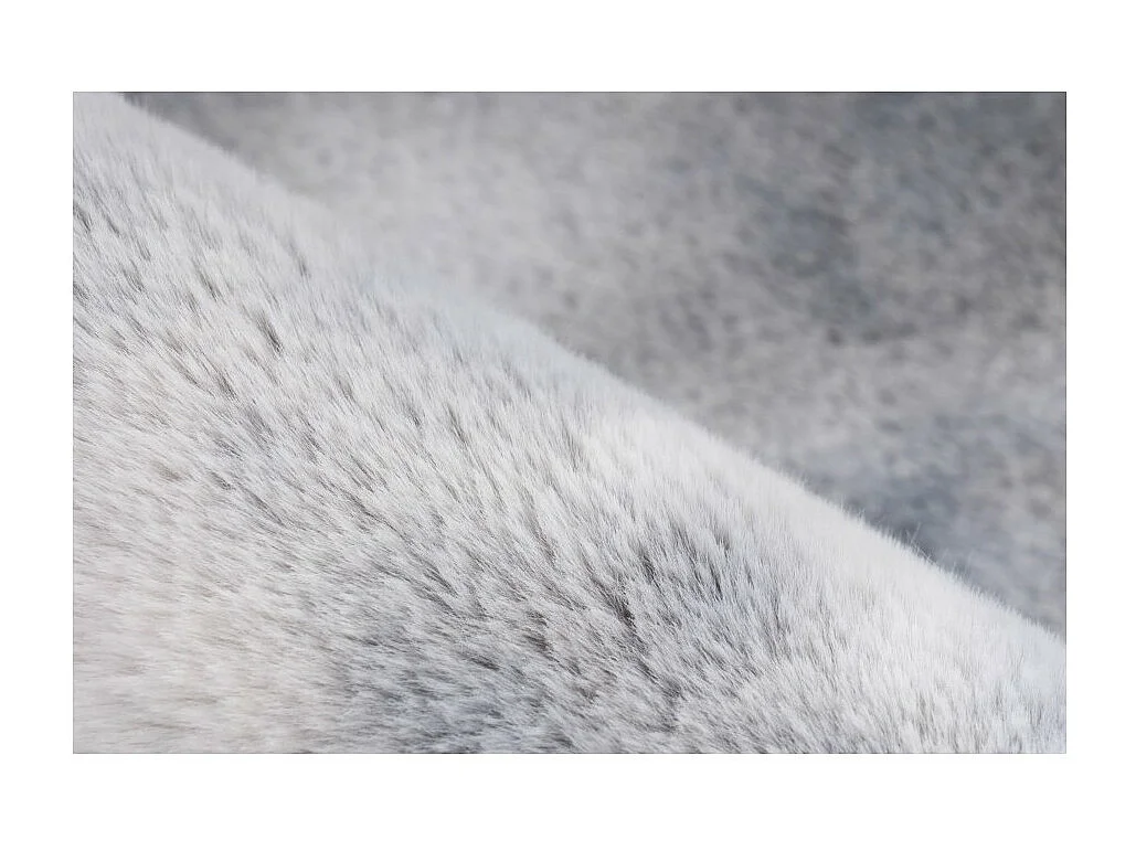 Tapis 230x160cm, design B005O coloris gris - Confort et élégance pour votre intérieur