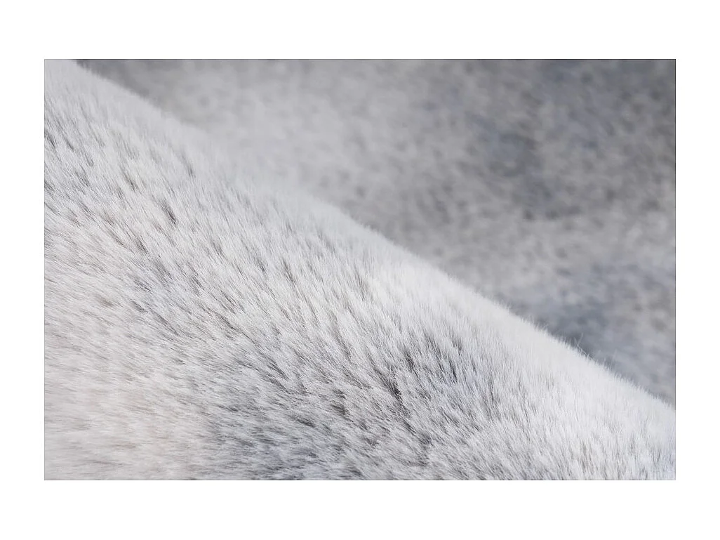 Teppich 170x120cm, Design B005O in Grau - Komfort und Eleganz für Ihr Zuhause