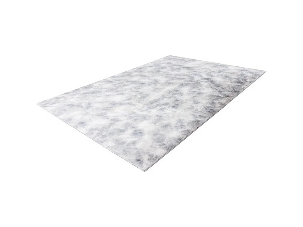 Tapis 170x120cm, design B005O coloris gris - Confort et élégance pour votre intérieur