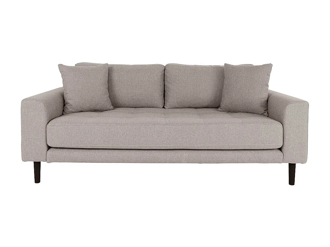 Lido canapé 2,5 personnes 2 coussins marron.