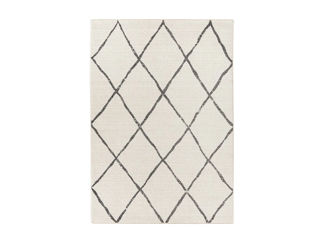 Tapis 290x200cm, design A105R coloris Ivoire - Confort et élégance pour votre intérieur