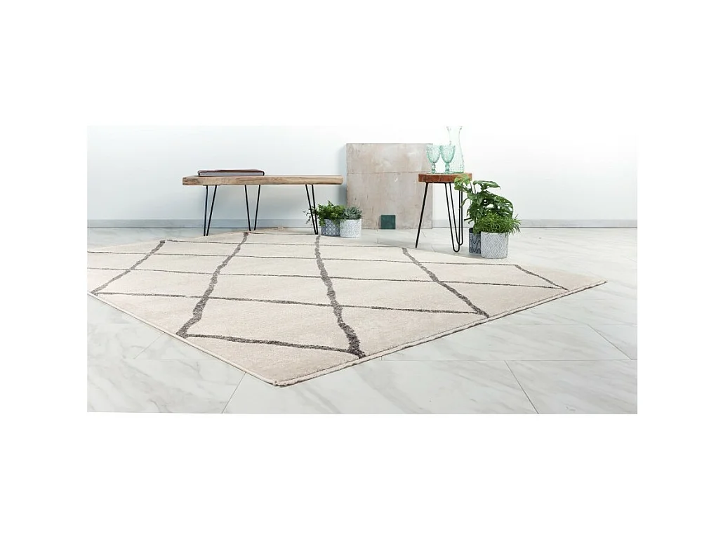 Teppich 290x200cm, Design A105R Farbe Elfenbein - Komfort und Eleganz für Ihr Interieur