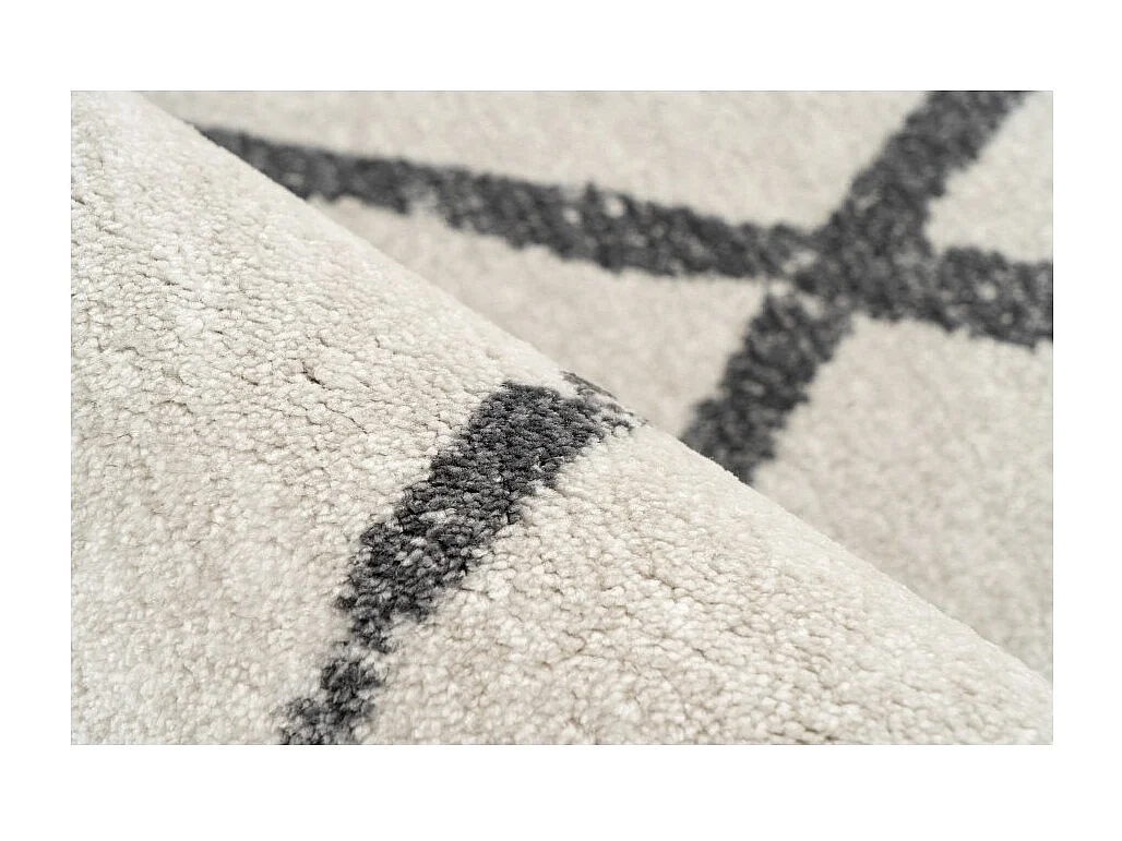 Tapis 290x200cm, design A105R coloris Ivoire - Confort et élégance pour votre intérieur