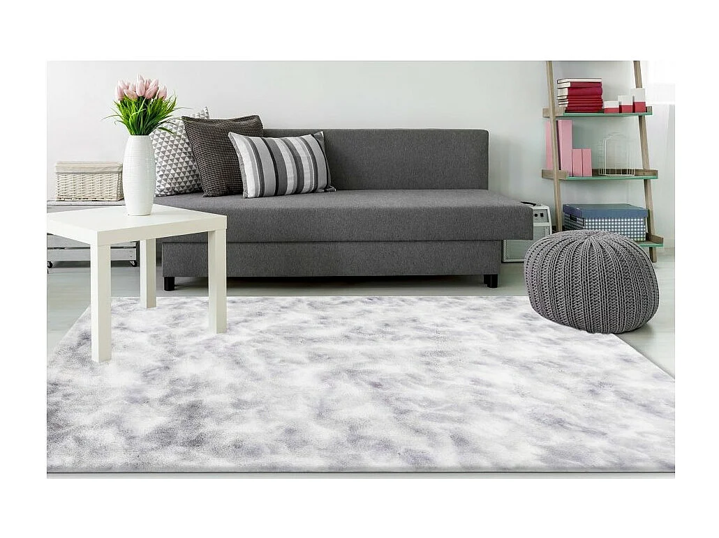 Tapis 150x80cm, design B005O coloris gris - Confort et élégance pour votre intérieur