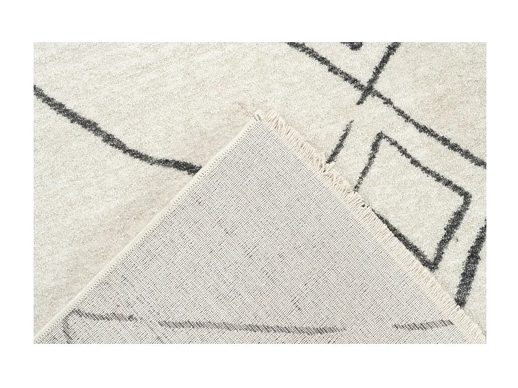 Teppich 170x120cm, Design A305R, mehrfarbig - Komfort und Eleganz für Ihr Interieur