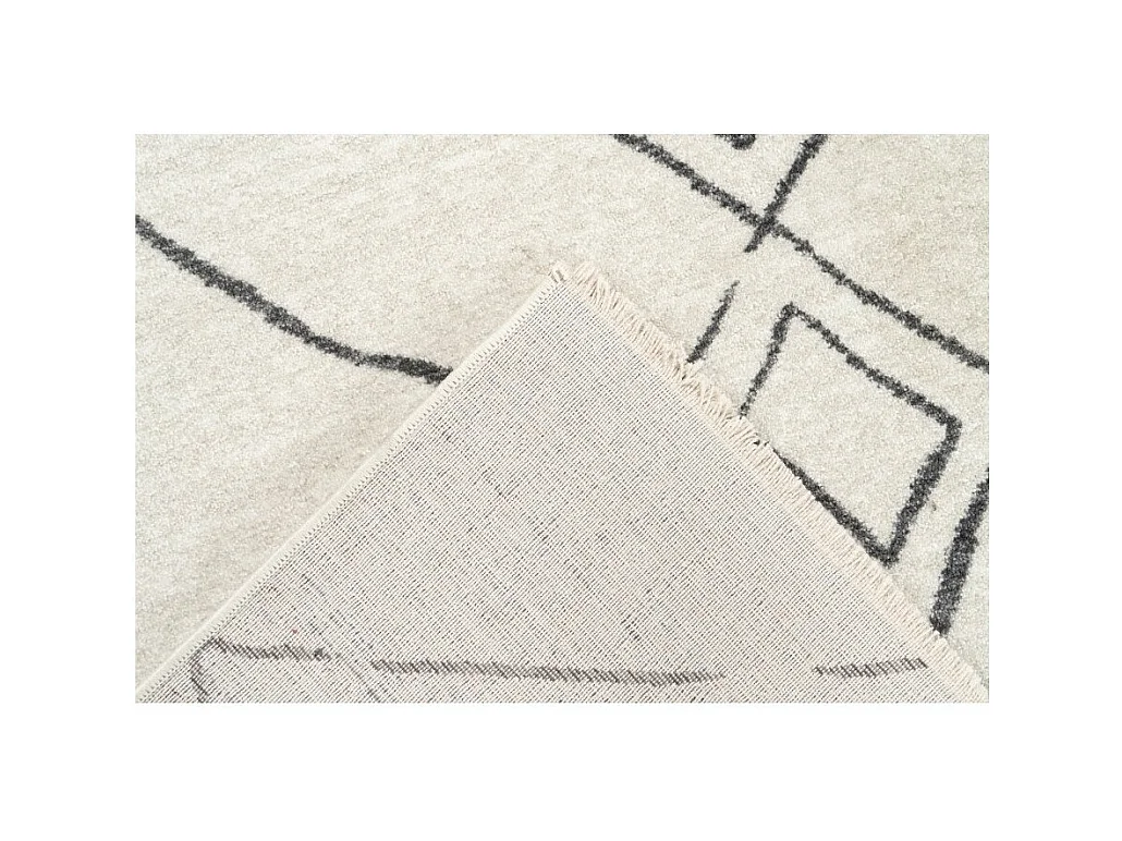 Alfombra 170x120cm, diseño A305R en colores multicolor - Confort y elegancia para su interior.