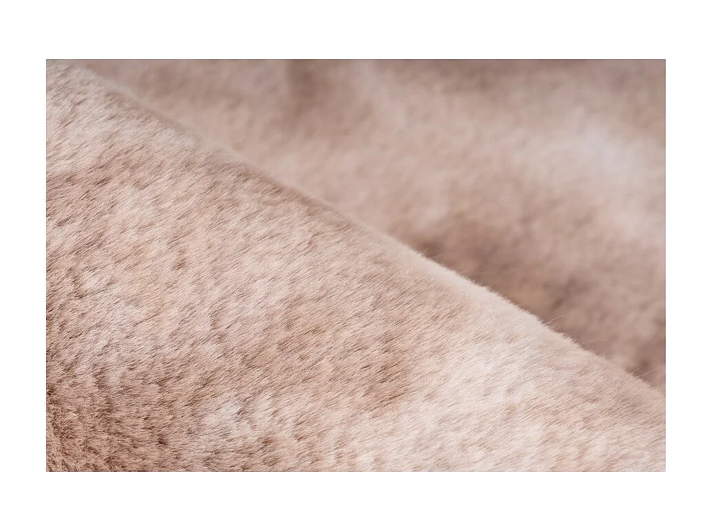 Tapis 150x80cm, design B005O coloris beige - Confort et élégance pour votre intérieur