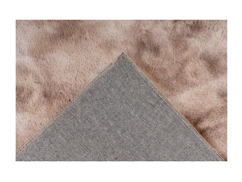Tapis 150x80cm, design B005O coloris beige - Confort et élégance pour votre intérieur