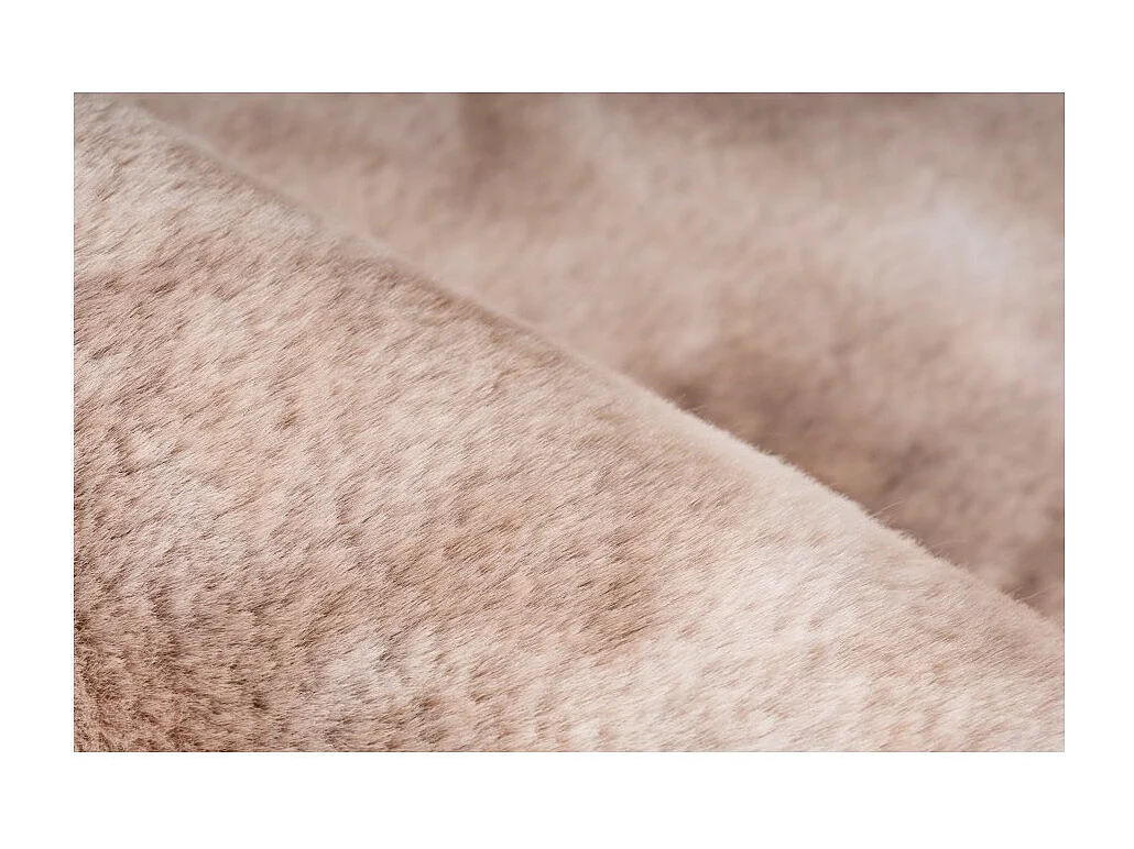 Tapis 230x160cm, design B005O coloris beige - Confort et élégance pour votre intérieur